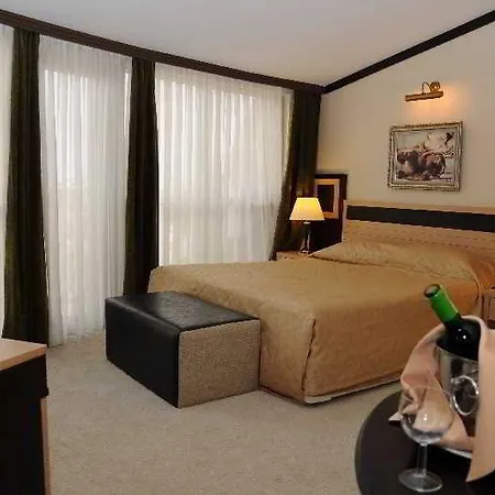 Hotel Magic Dream Park 4*